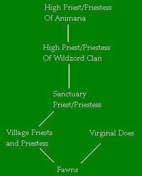 Wildzord Clan Hierarchy